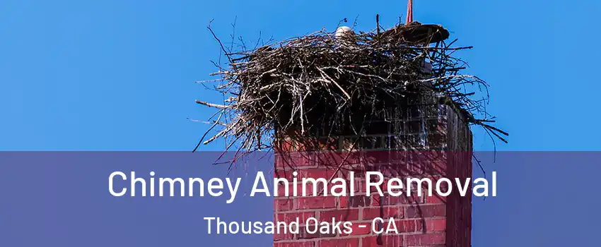 Chimney Animal Removal Thousand Oaks - CA