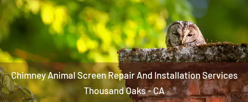  Chimney Animal Screen Repair And Installation Services Thousand Oaks - CA