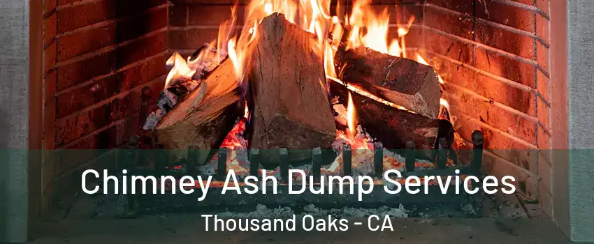  Chimney Ash Dump Services Thousand Oaks - CA