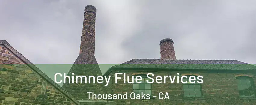  Chimney Flue Services Thousand Oaks - CA