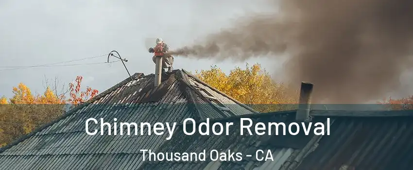  Chimney Odor Removal Thousand Oaks - CA