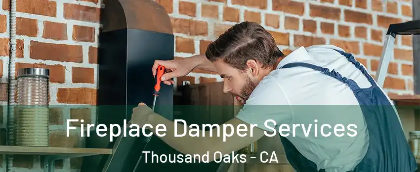  Fireplace Damper Services Thousand Oaks - CA