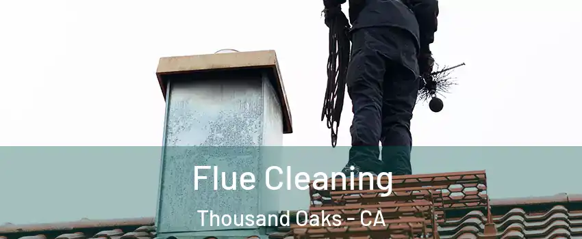  Flue Cleaning Thousand Oaks - CA