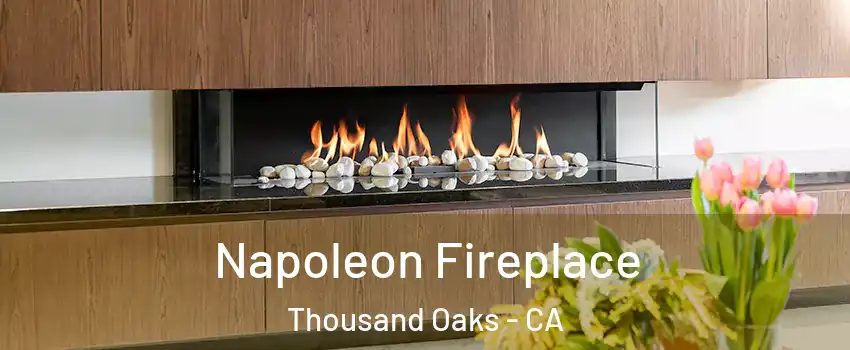  Napoleon Fireplace Thousand Oaks - CA